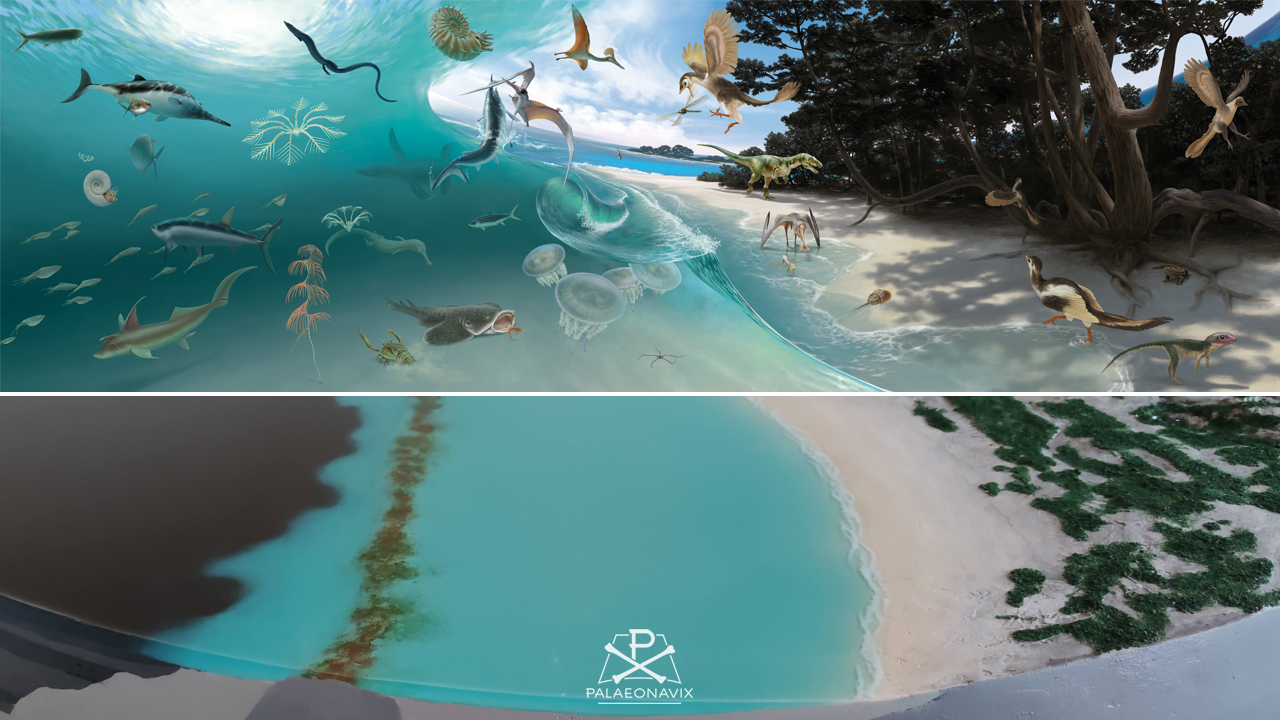<em>Archaeopteryx</em>’ world: from sea to shining sea