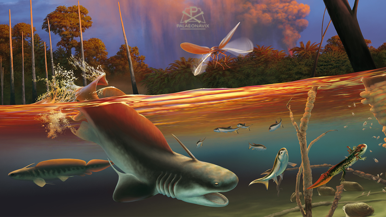 Sharks in local rivers and lakes
