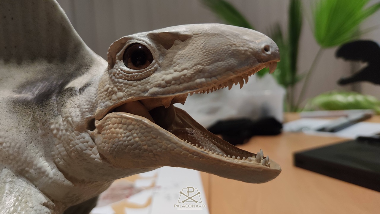 Lebensgroßes Modell eines Dimetrodon-Jungtiers mit geöffnetem Maul