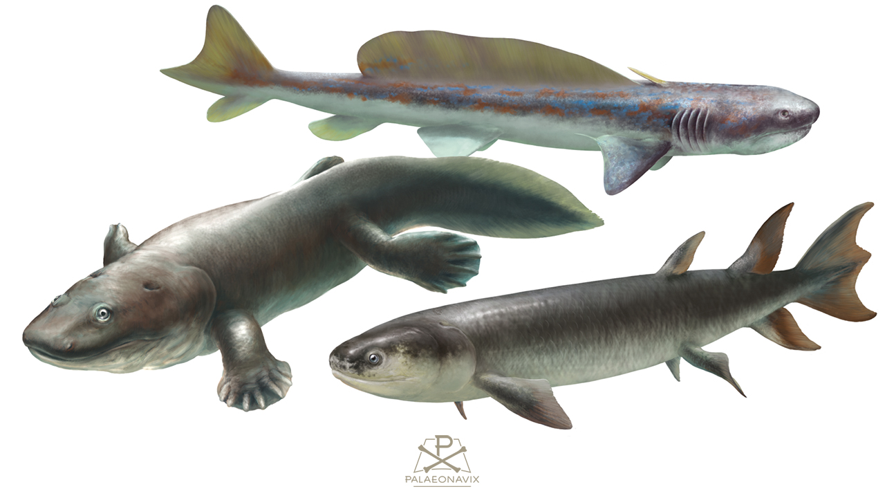 Paleozoic fishes