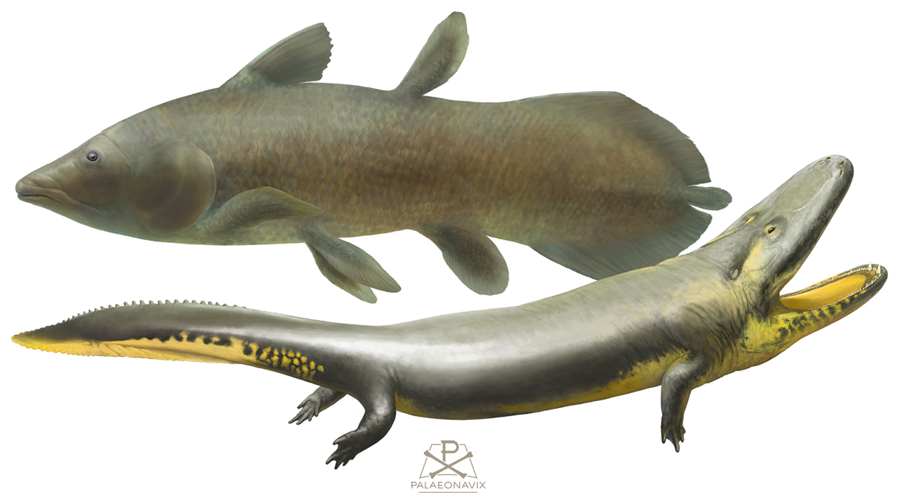 River monsters