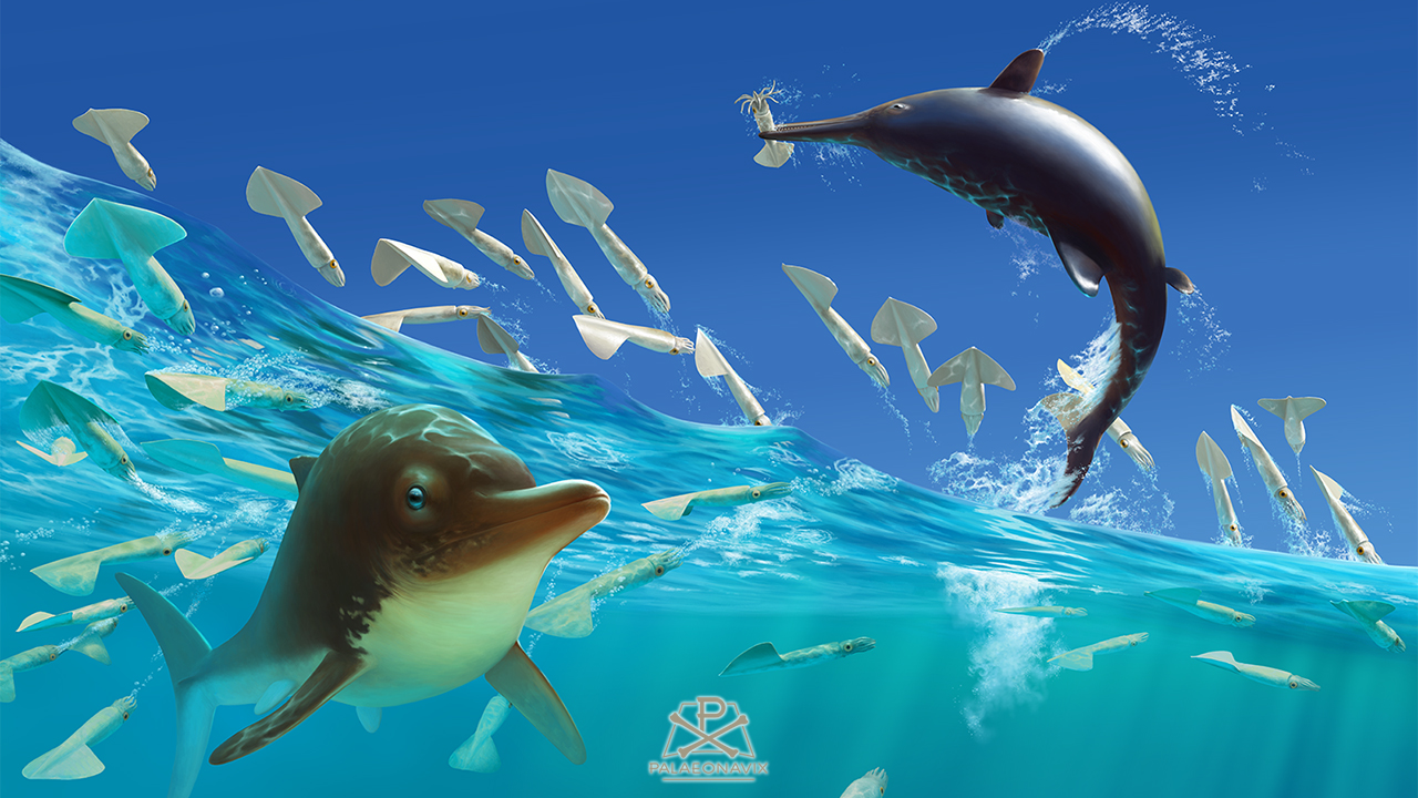 Belemnites & ichthyosaurs in a swimming race