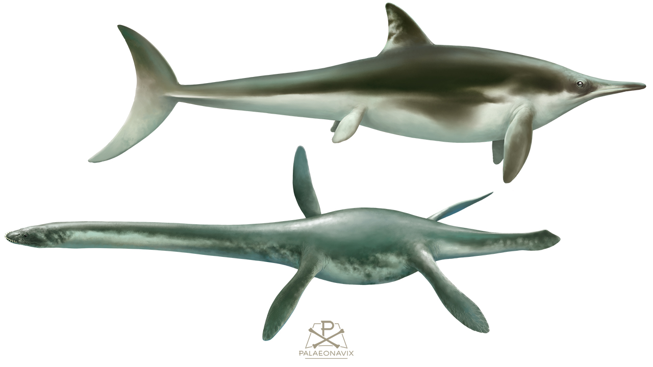 <em>Ichthyosaurus</em> & <em>Plesiosaurus</em> – early in a double manner
