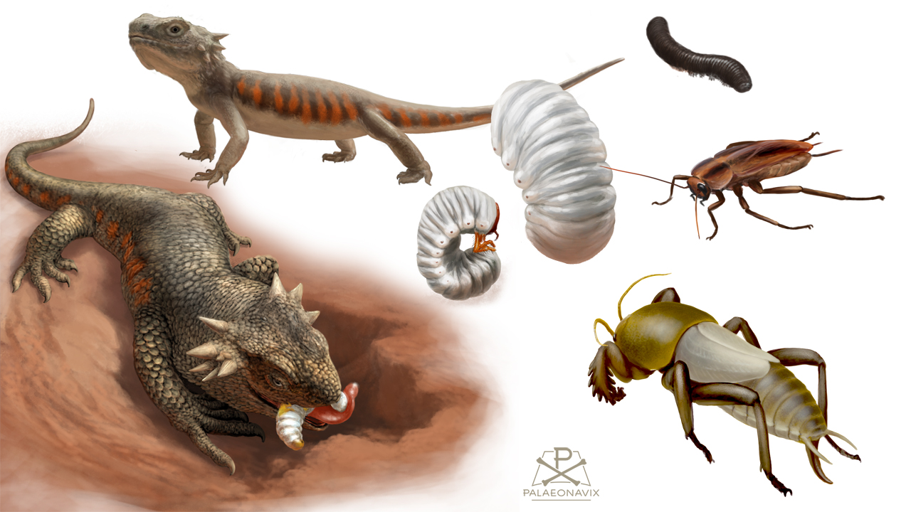 Parareptiles going after soil fauna