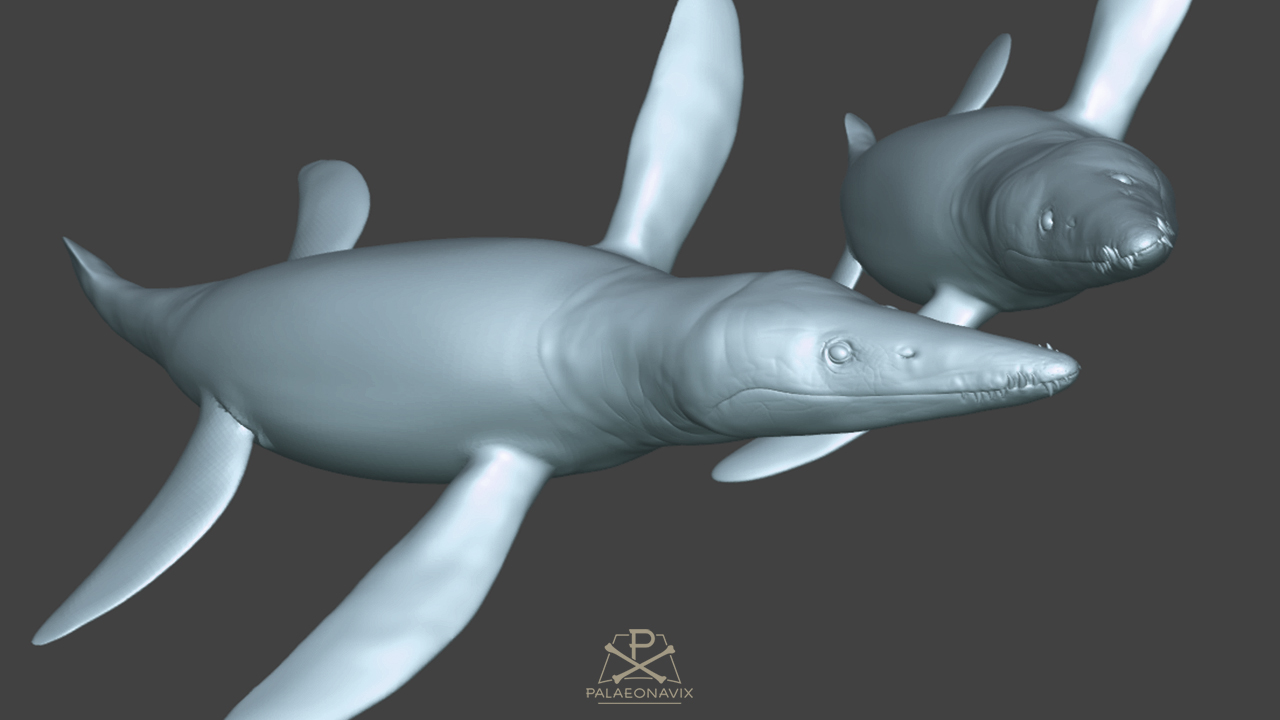 Lebensgroßes Modell eines drei Meter langen Pliosaurus-Jungtiers auf Sockel