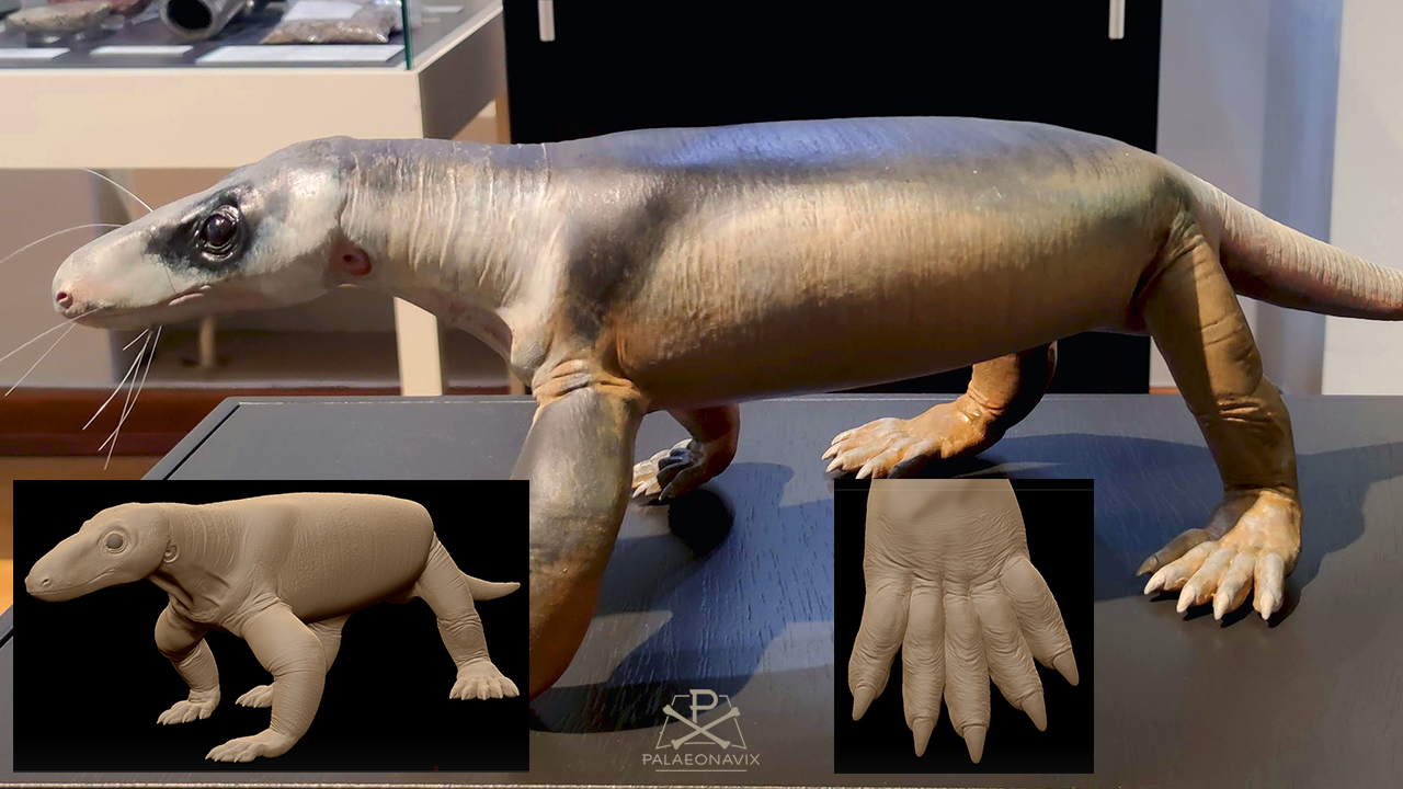 3D-gedrucktes Modell des Cynodontiers Procynosuchus mit nackter Haut