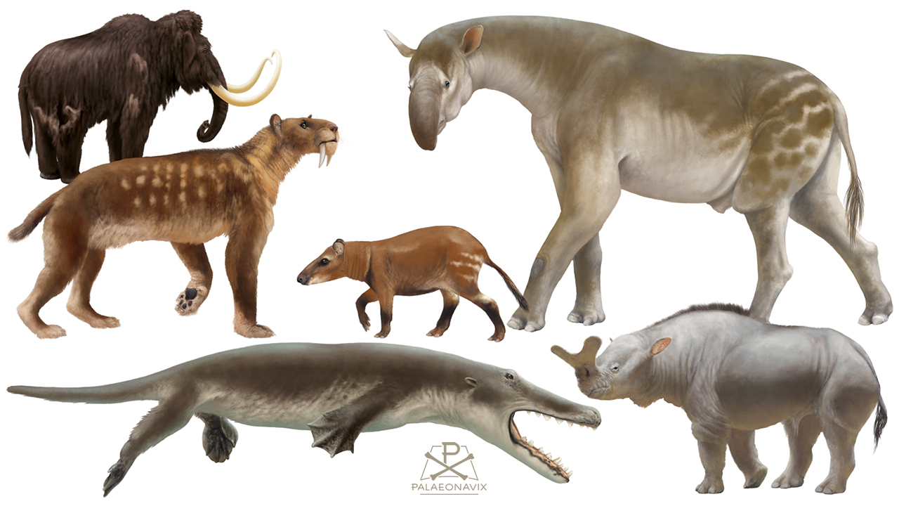 Cenozoic mammals