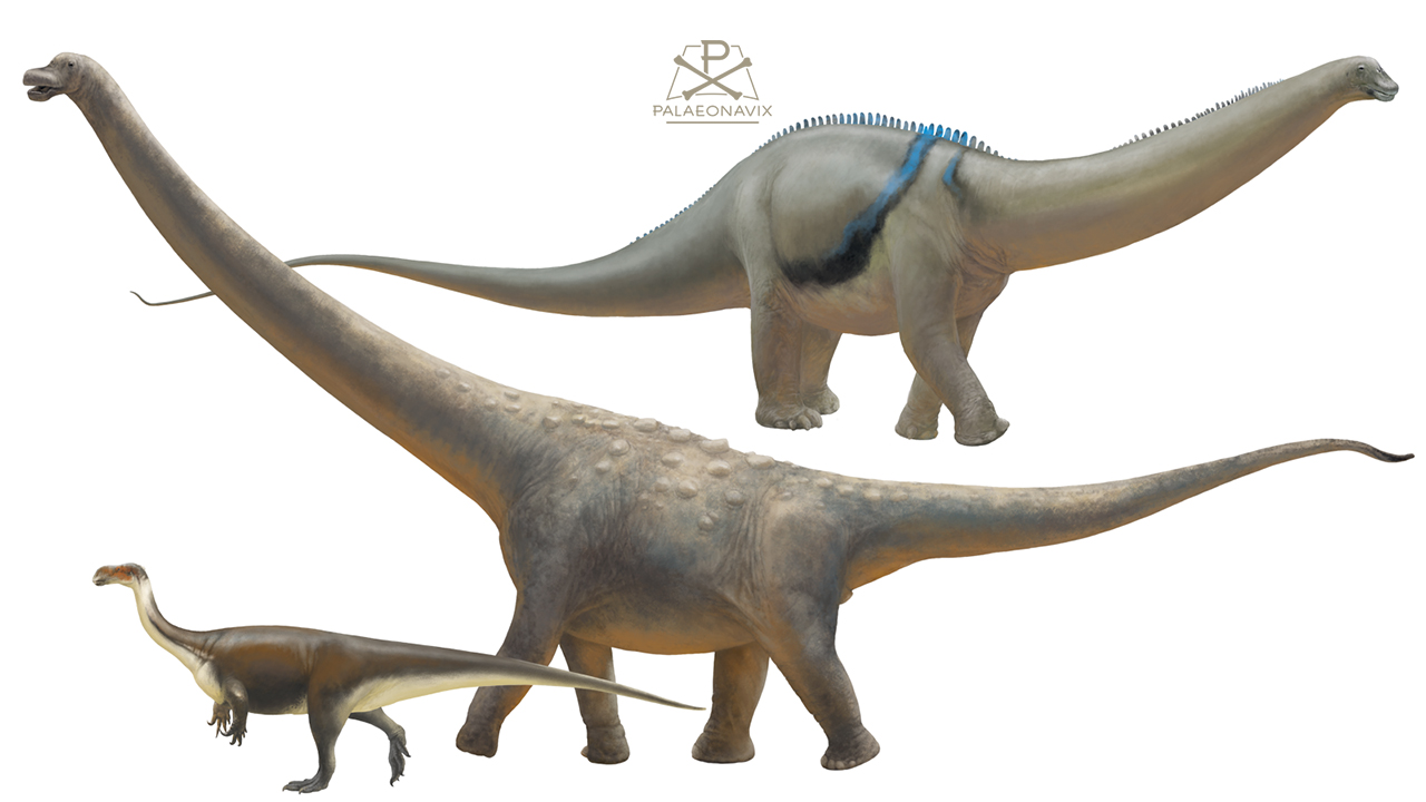 Sauropodomorphs