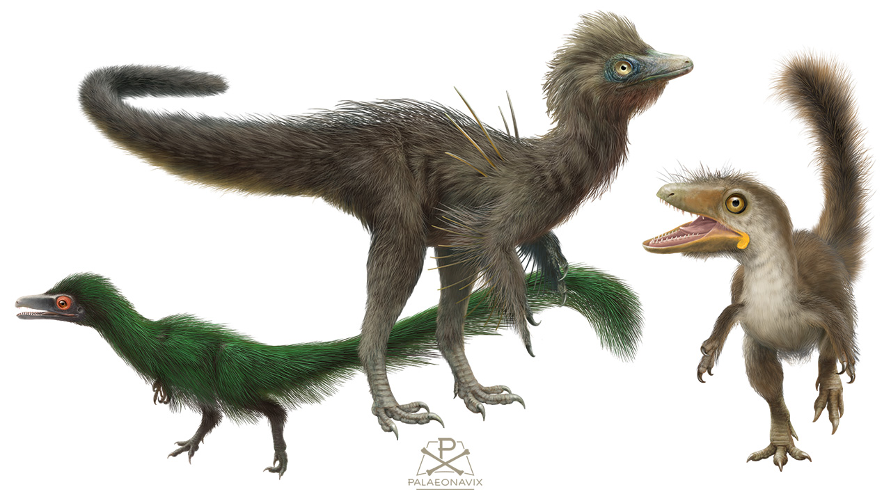 Solnhofen flightless theropods