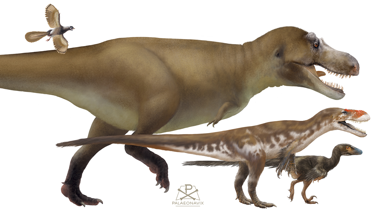 Theropods